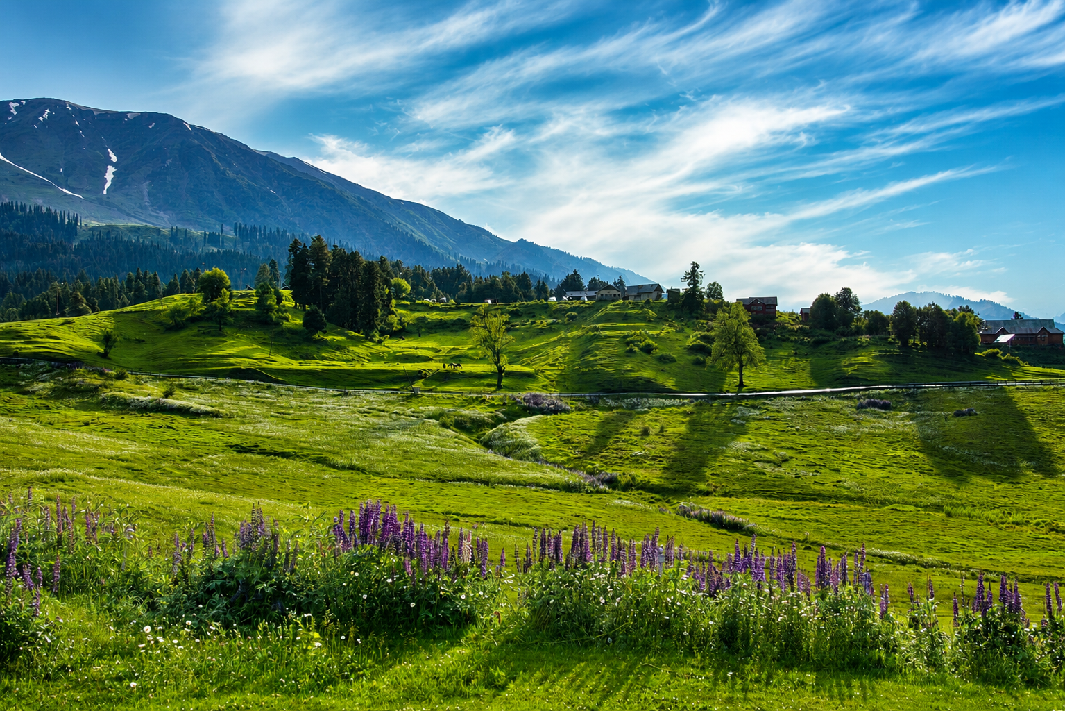 Escape to the Heart of Kashmir