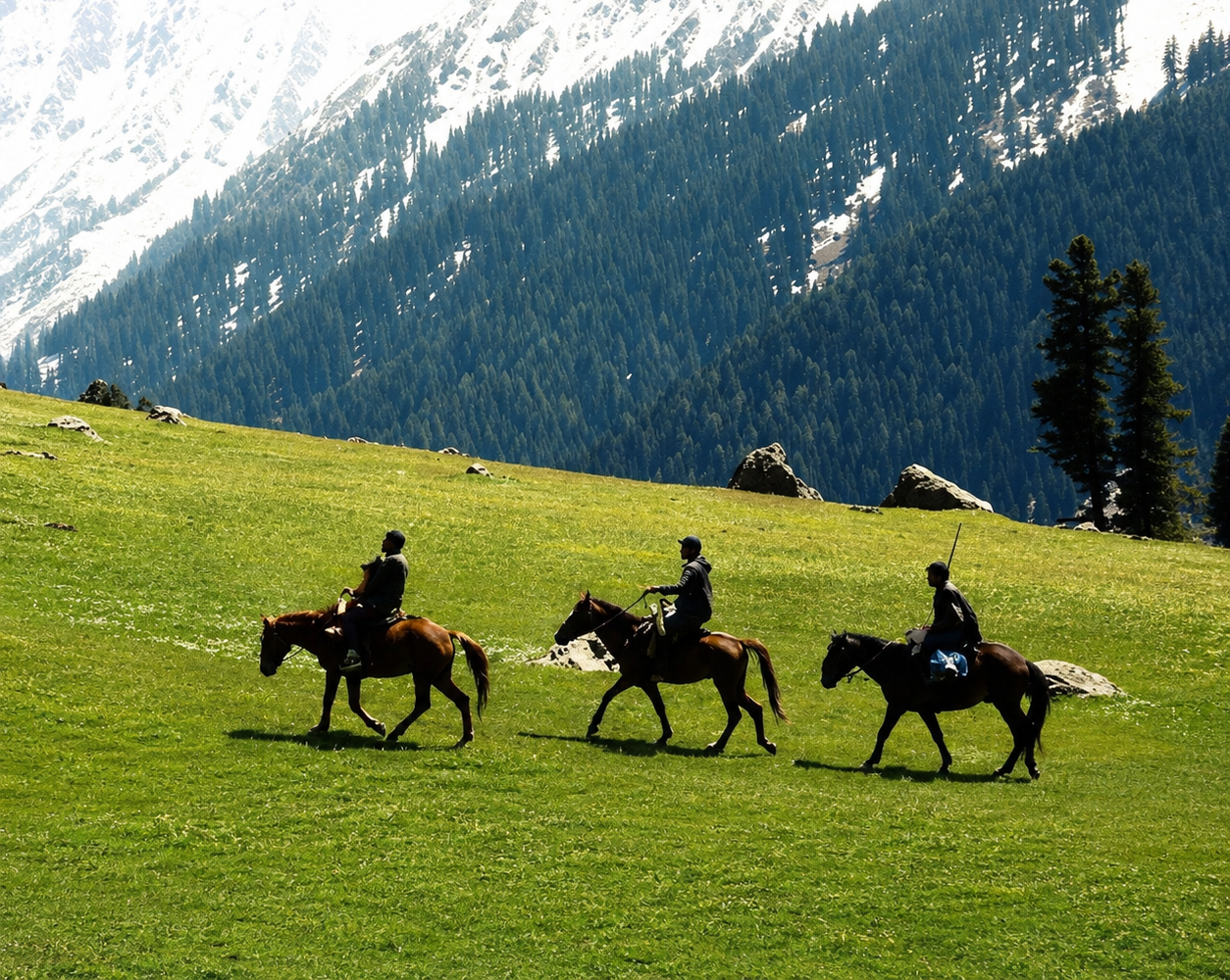 Pony Rides