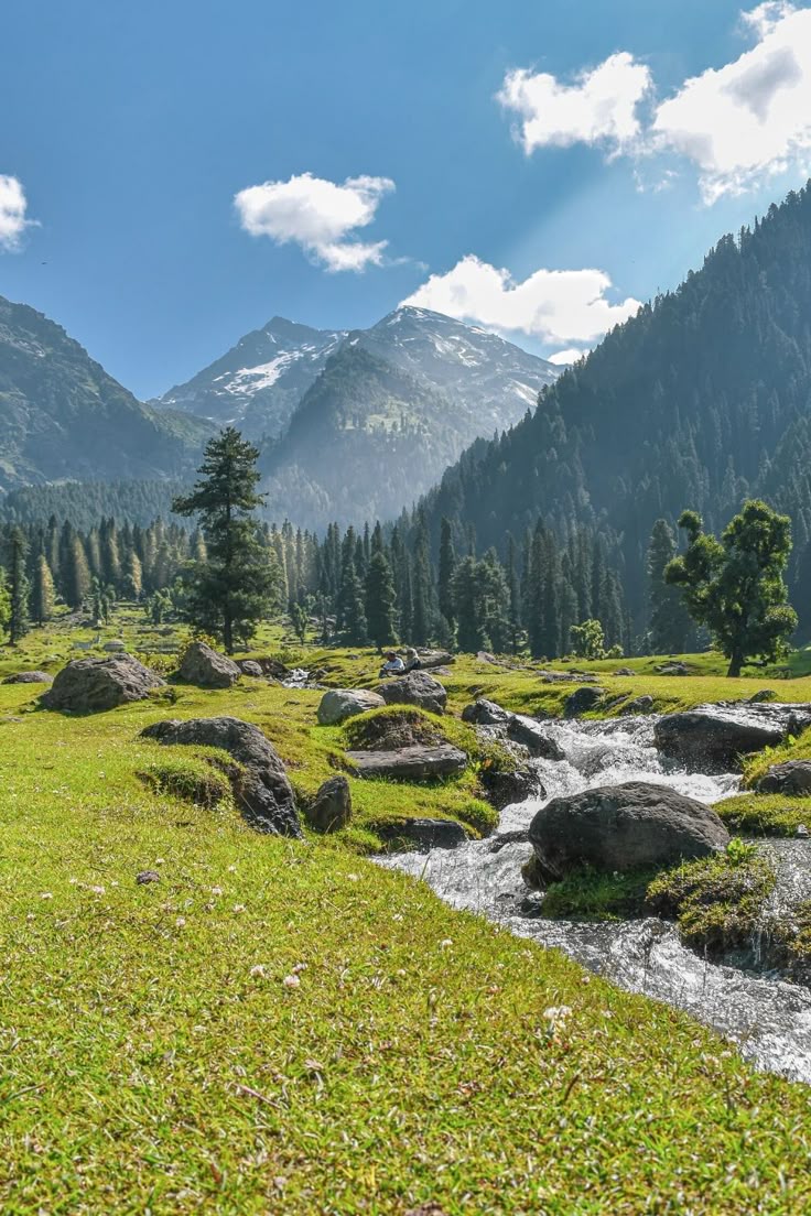 Aru Valley